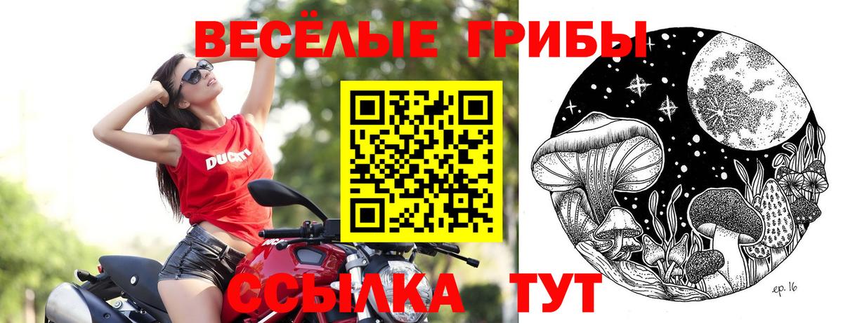 Галлюциногенные грибы Magic Shrooms Верхняя Пышма